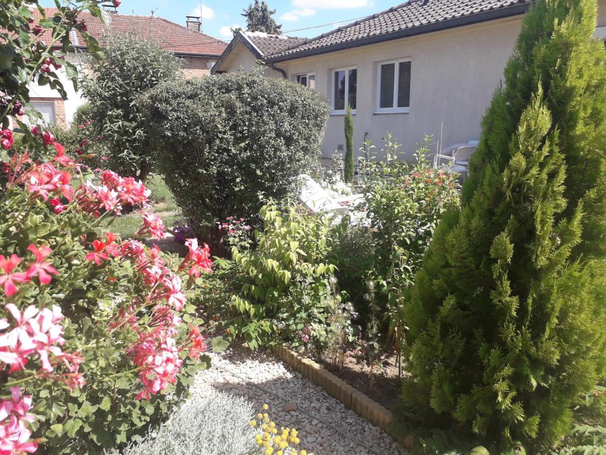 O Bout D'La Motte Apartment Voillecomte Exterior photo